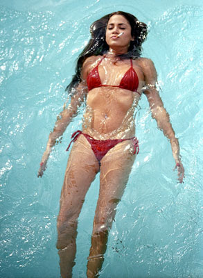 Nikki Reed Hot Nikki Reed Hot