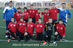 ALEVIN  2012-13