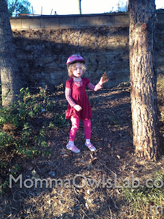 Momma Owl's Lab: The Pine Cone Experiment