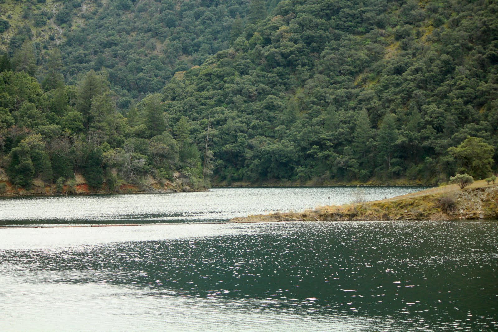 Bluebear's Photo Gallery American River Canyon