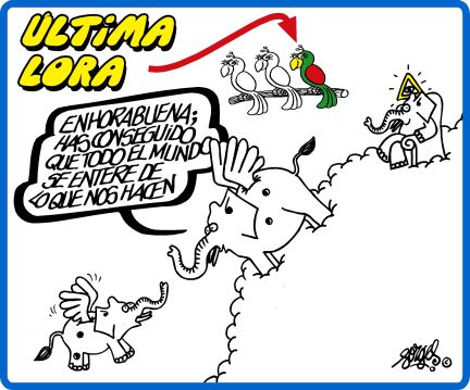 El Rey necesitó siete tiros para abatir el elefante en Botsuana FORGES+CAZAR+ELEFANTES