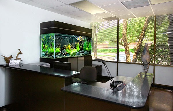 Pirdot Kumpulan Foto Aquarium Aquascape Keren