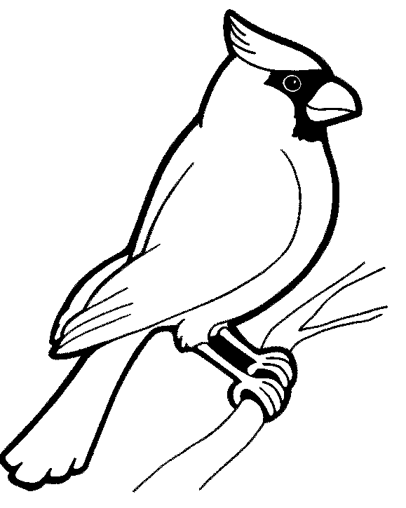 Free Bird Coloring Pages high quality