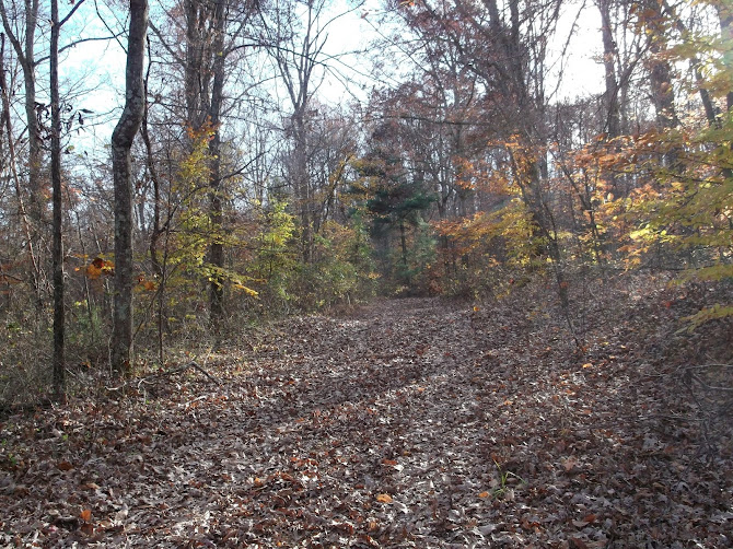 Path in Nelson Co. Ky