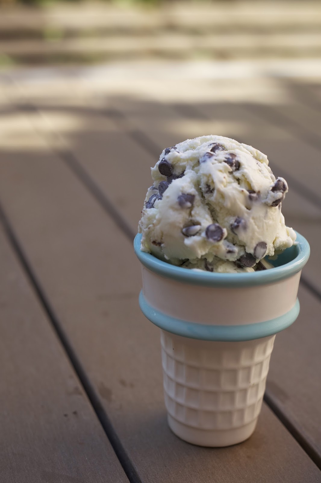 Ginger in the Kitchen Fresh Mint Chip Frozen Yogurt