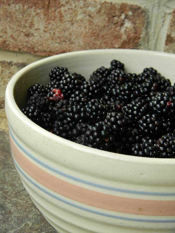 Home Joys Making Jam with Stevia