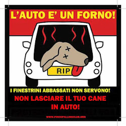 NON LASCIARLO IN AUTO!