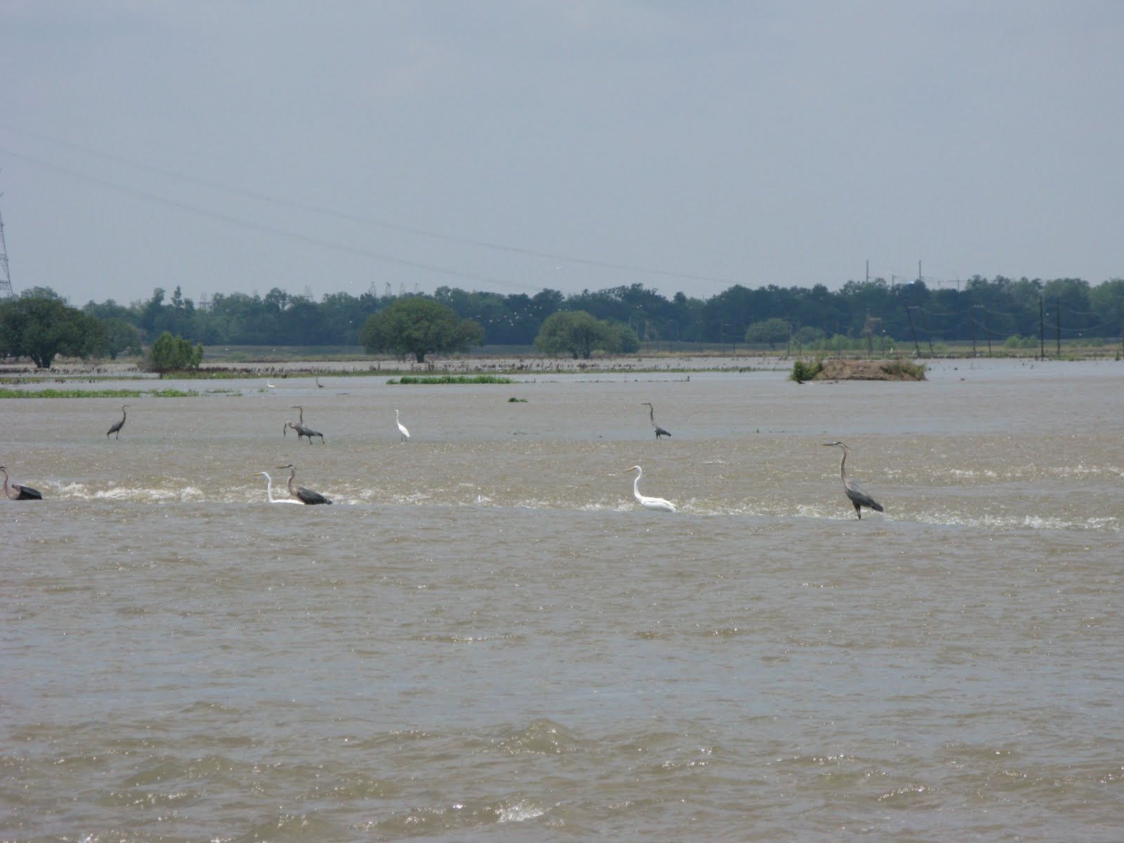 Overview of Bonnet Carre Spillway