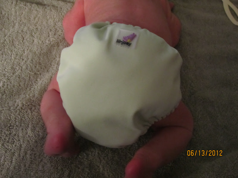 The Mommy Goods Introduction to Newborn Cloth Diapering Series