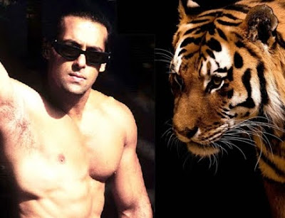 Salman Khan to shoot with a real tiger!