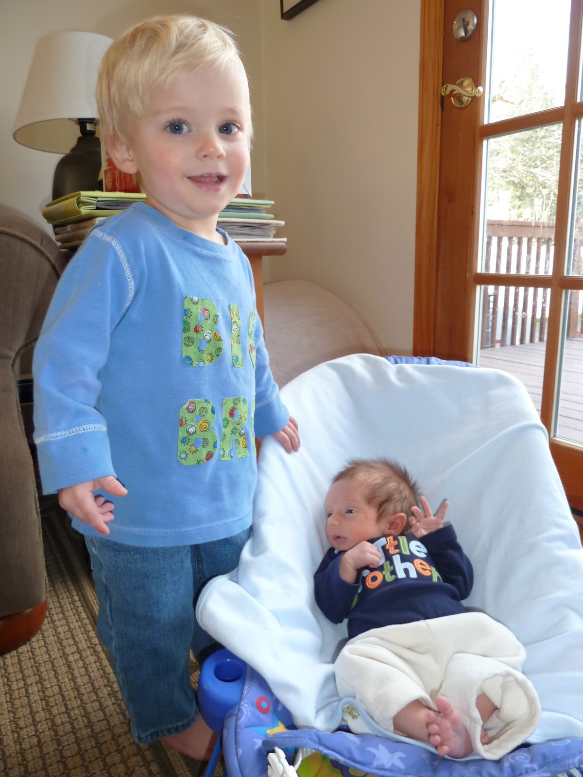 Books to Prepare Siblings for A New Baby The Chirping Moms