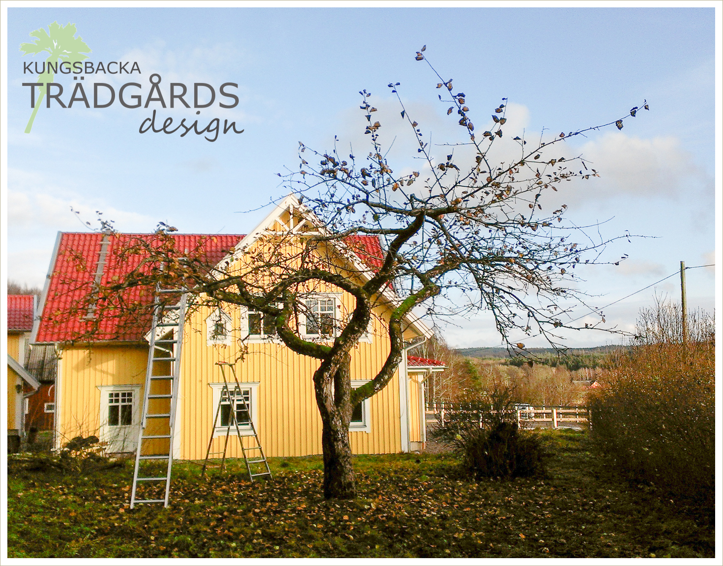 Kungsbacka trädgårdsdesign: november 2012