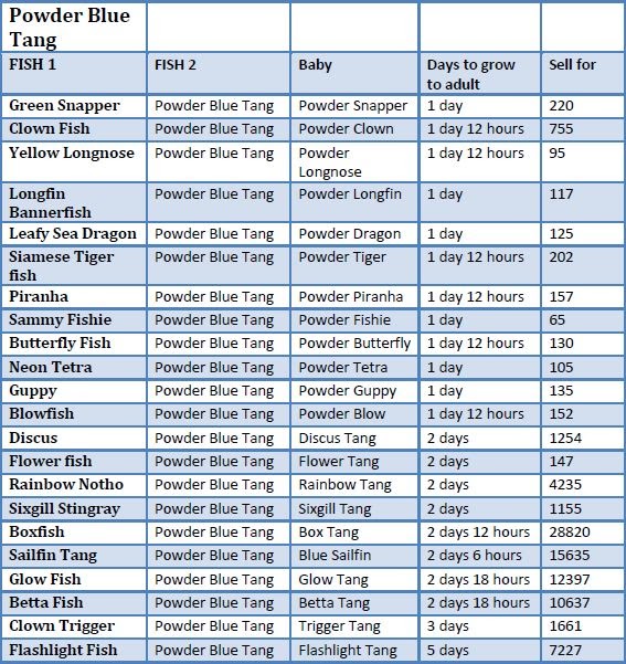 TapFish Guide Powder Blue Tang Breeding Guide