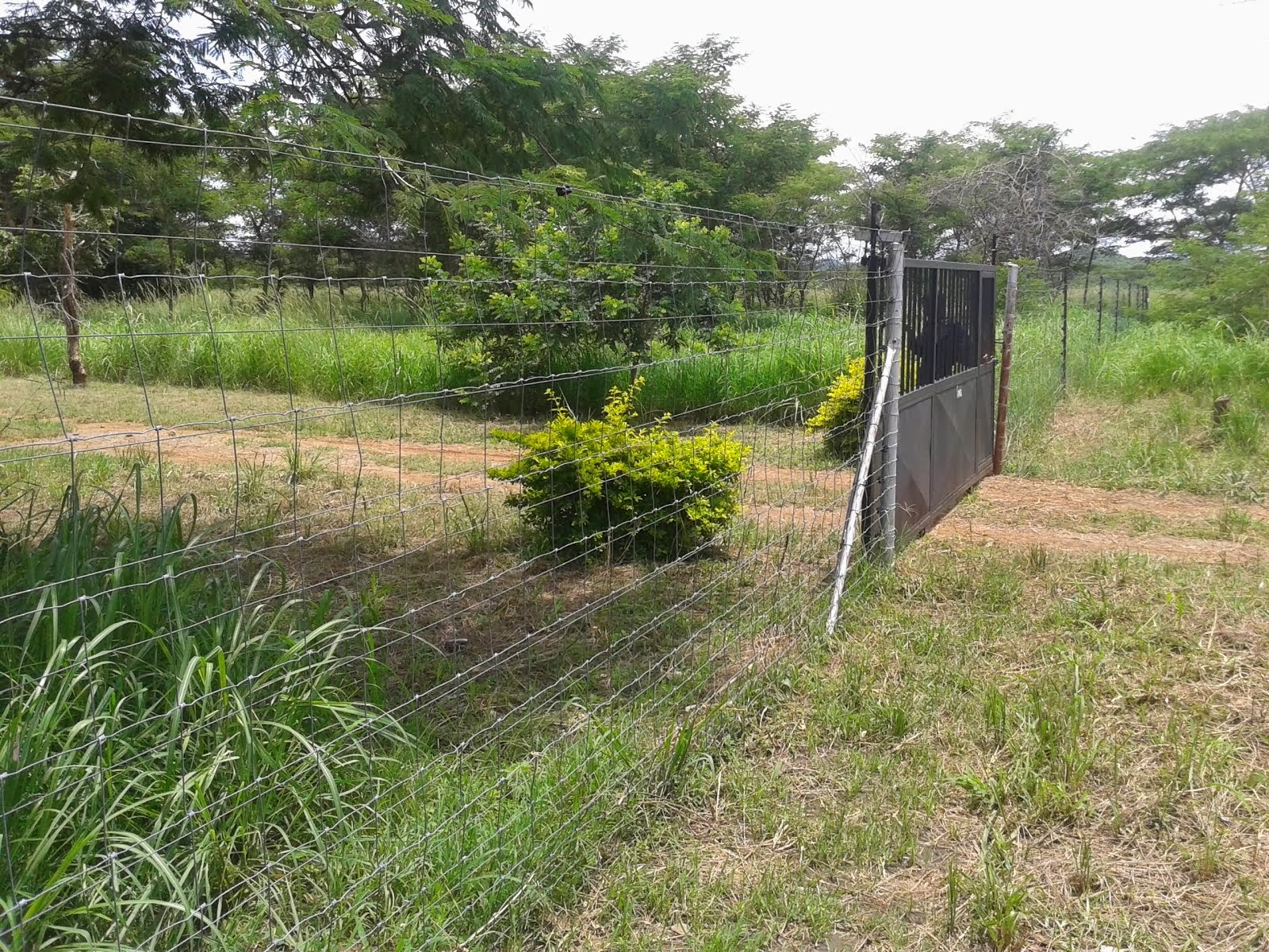 FARMS FOR SALE IN MKUSHI