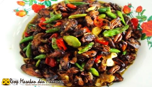 Resep Untuk Membuat Masakan Oseng Kerang Masakan Oseng Kerang