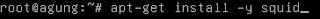 Proxy Debian Squeeze Proxy Debian Squeeze