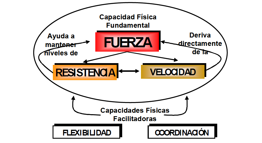 Os homens como aumentar o membro