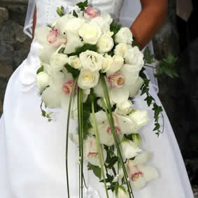 Orquideas para bodas