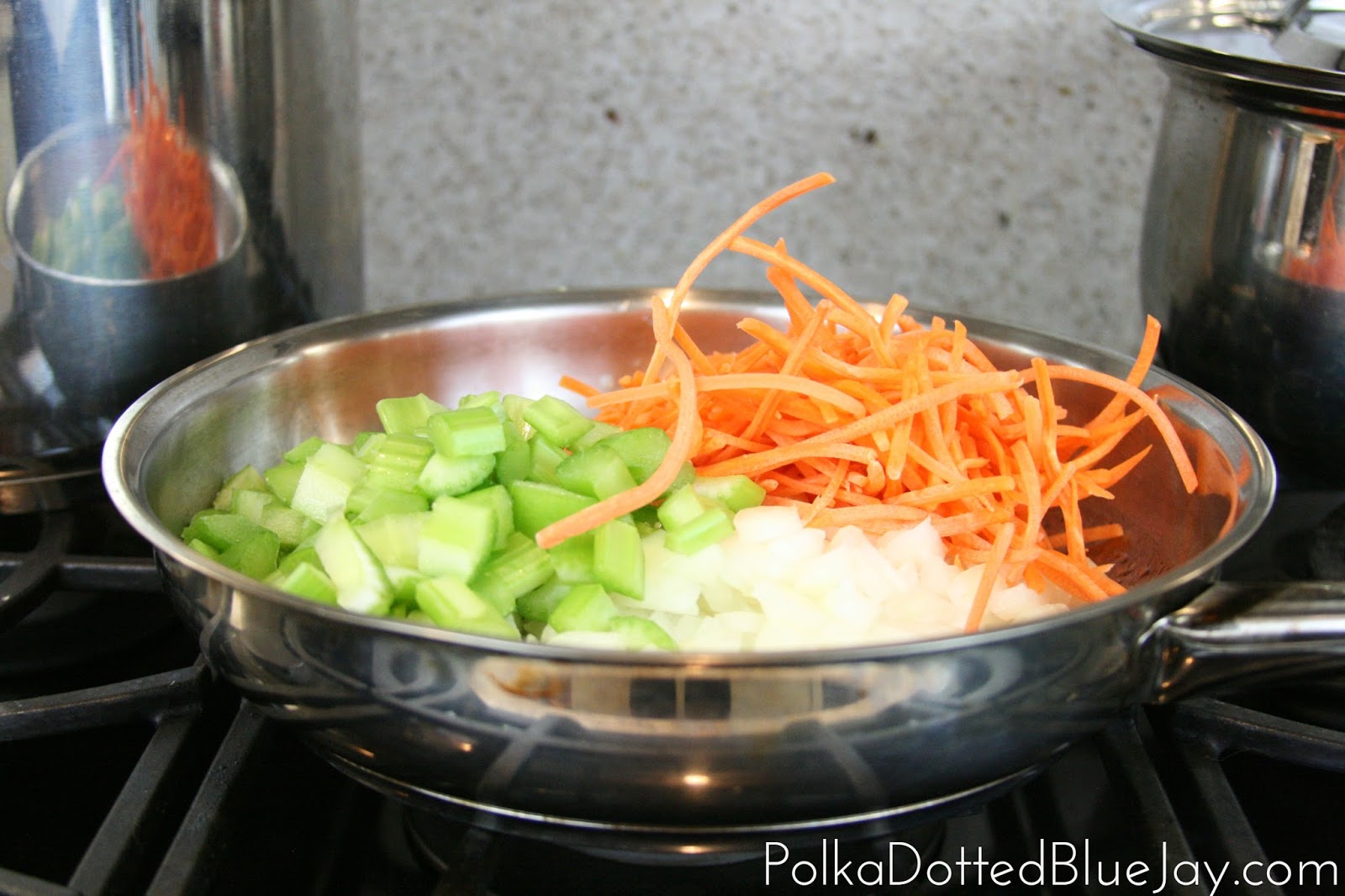 Chicken and Wild Rice Soup with Uncle Ben's® Polka Dotted Blue Jay