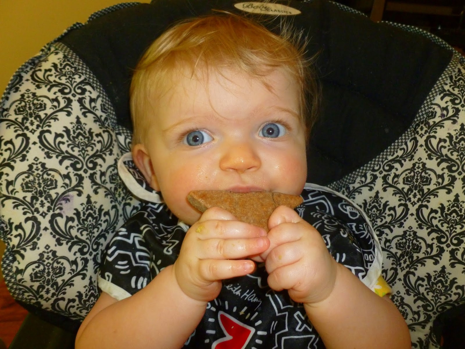 My SoCalled (Mommy) Life Homemade Baby Teething Biscuits