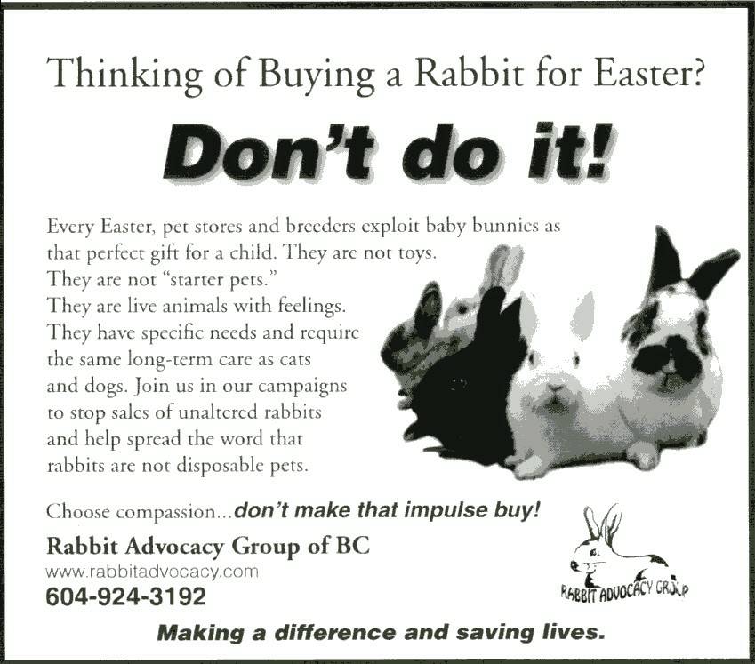 Rabbit Ramblings Bunny advocacy memes