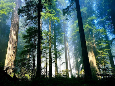 acer wallpaper. acer wallpaper. wallpaper laptop acer. wallpaper laptop acer acer wallpaper. acer wallpaper. acer wallpaper. wallpaper laptop acer. wallpaper laptop acer