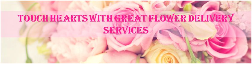 Touch Hearts with Great Flower Delivery Services