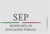 SERVICIO PROFESIONAL DOCENTE