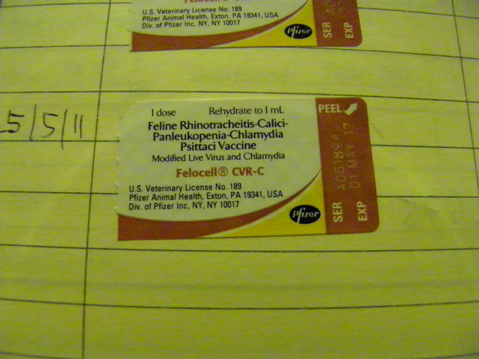 felocell cvr vaccine cats