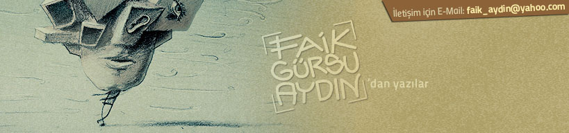 Faik Gürsu Aydın'dan Yazılar