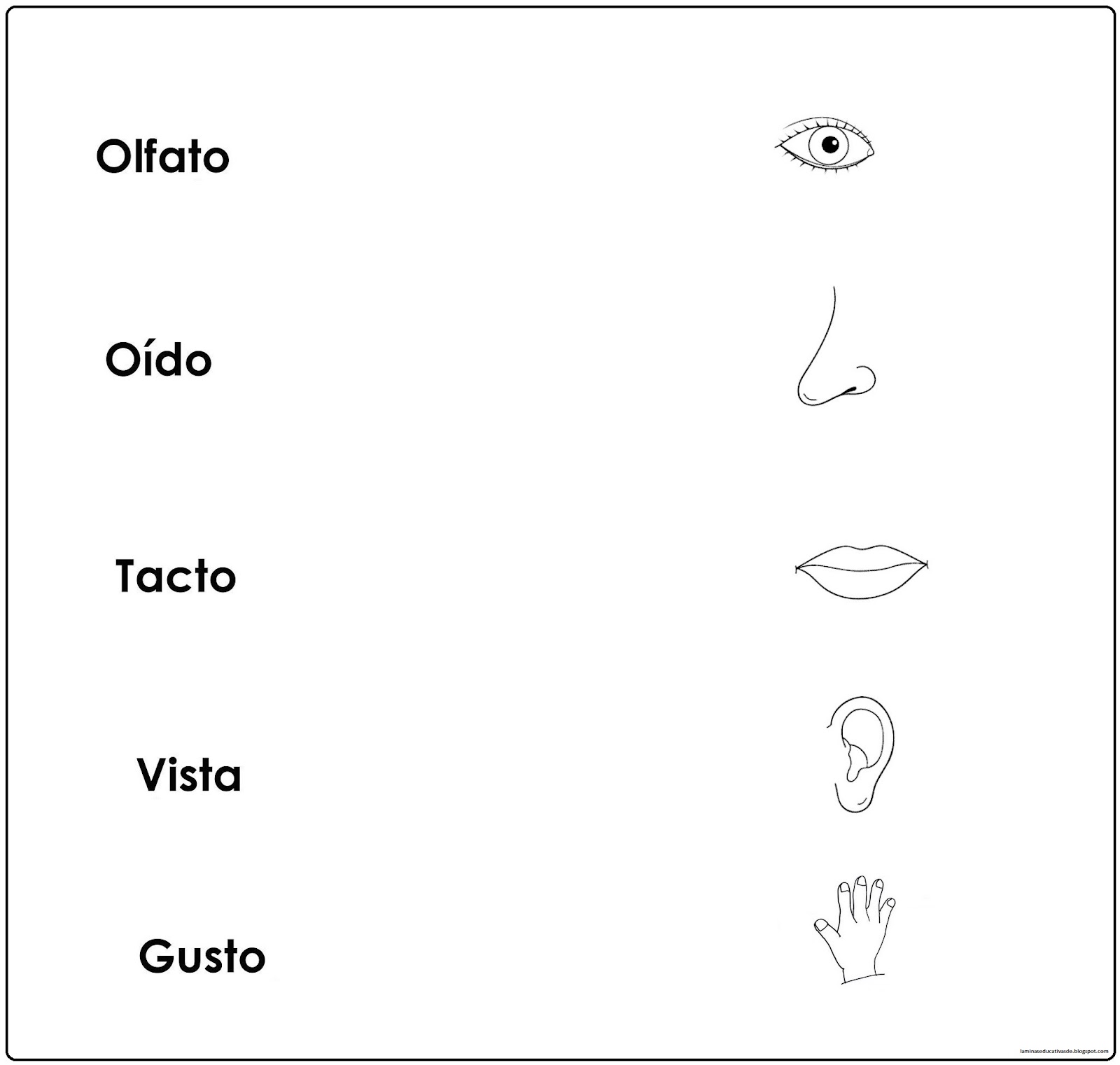 Imágenes del los cinco sentidos para colorear - Imagui Imágenes del los cinco sentidos para colorear - Imagui