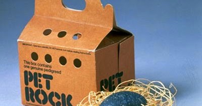 cherrycreativearts: Pet Rocks that Encourage Creativity and