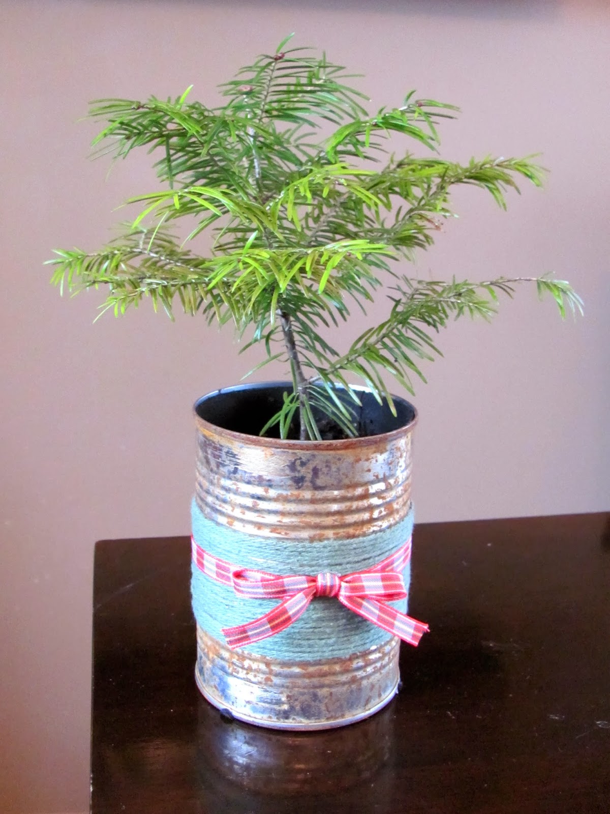 Artisan 82 Tutorial Rusted Can Planters DIY Gift Ideas