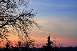 Winterhimmel... Winterhimmel...