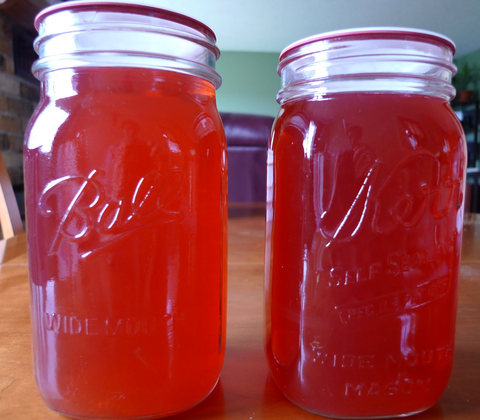 Making and Canning Rhubarb Juice Backwoods Mama