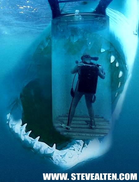 Shark Biggest