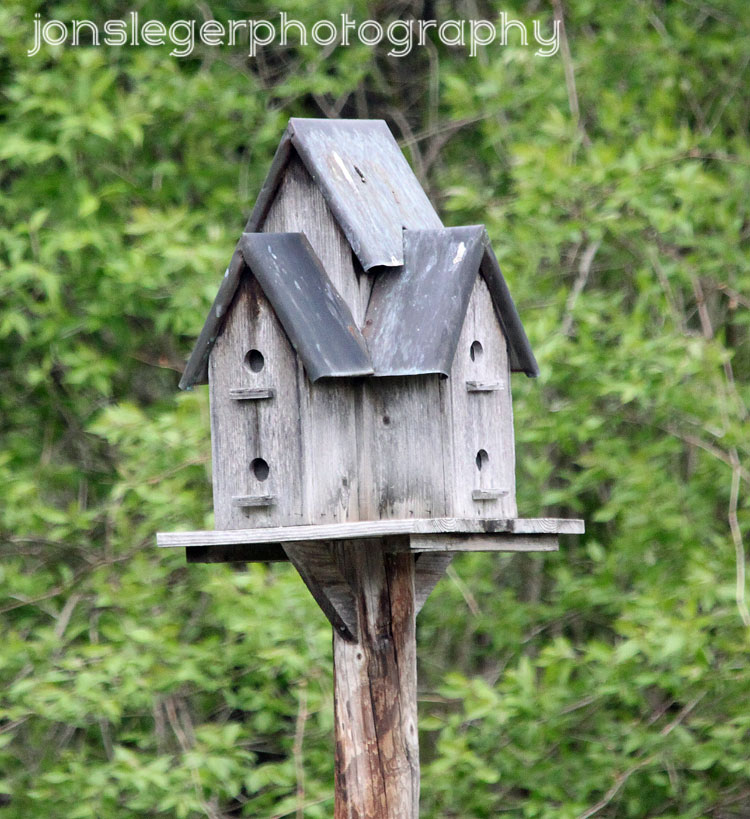The Rockford Bird House 