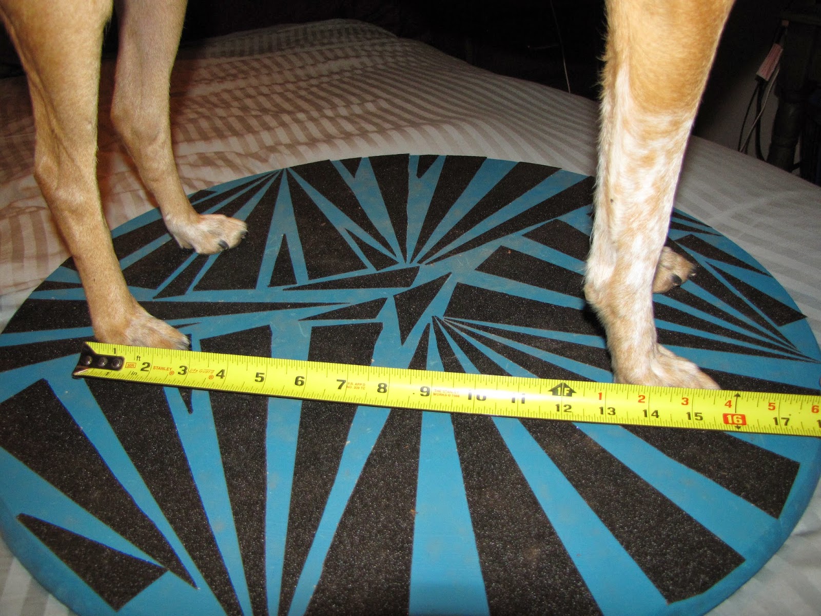 ZoePhee How to Make Wobble Board for Dogs!