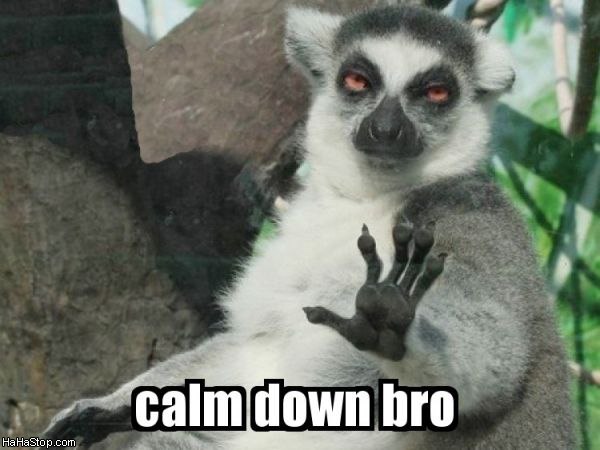 Calm_down_bro-DWrvfmLVFfKK0S1yir7V.jpg