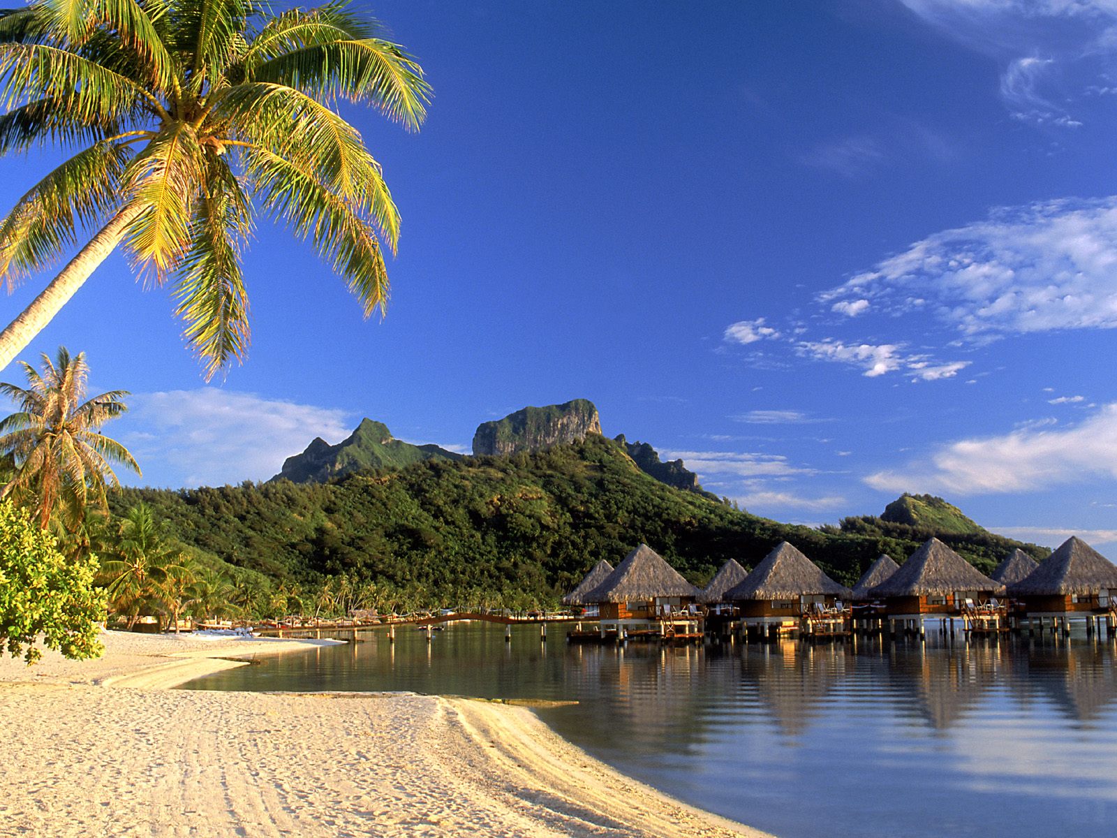 The Best Beach Bora Bora Island And Best Beach Hut Resort