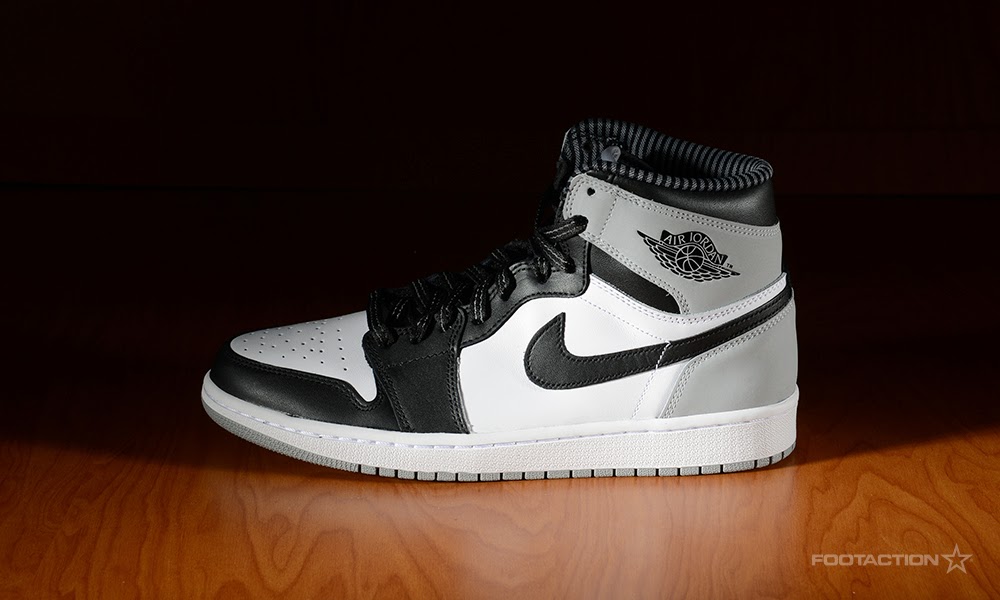 jordan skateboarding shoes