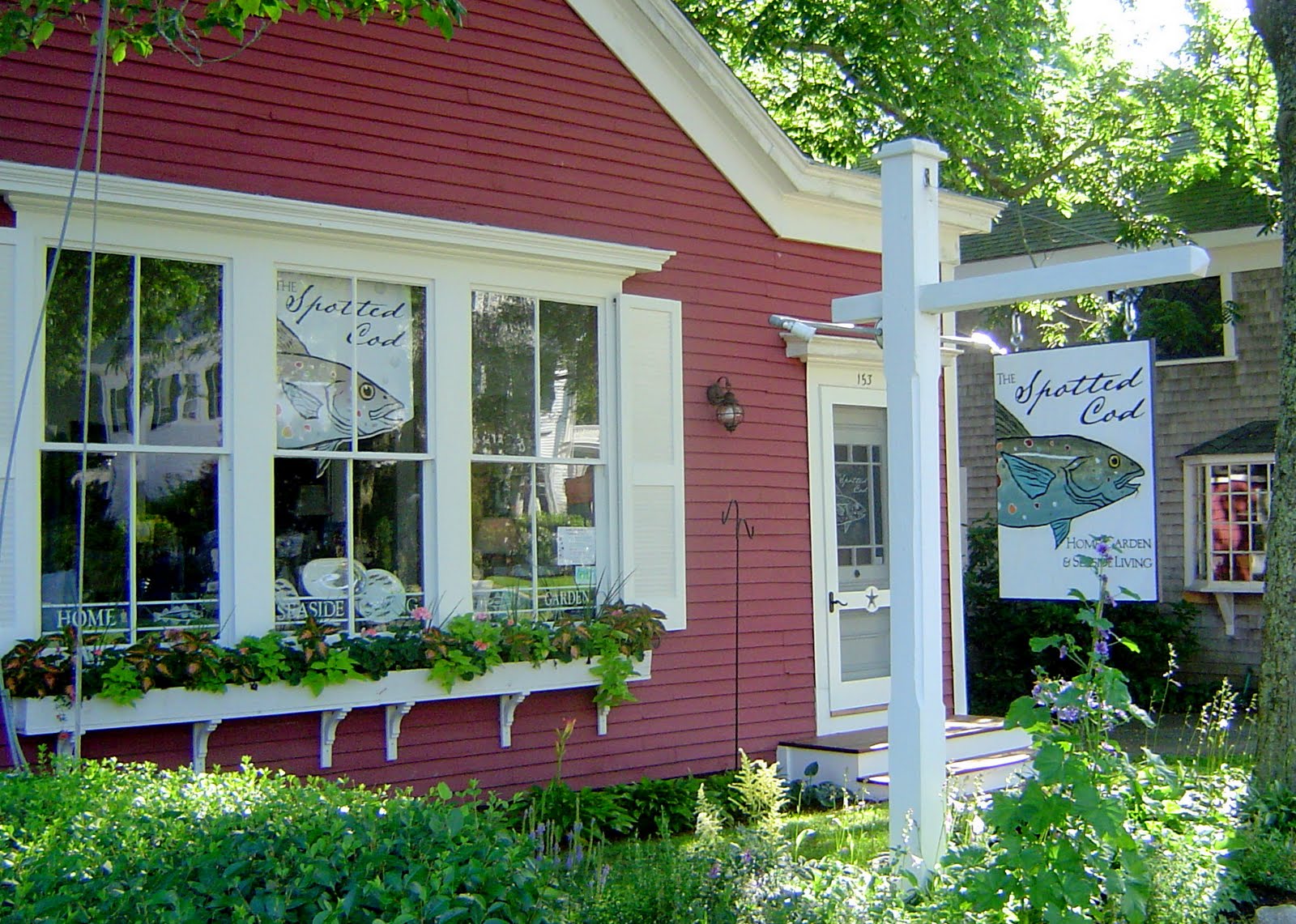 The Spotted Cod... a Secret Nest of Treasures Sara Campbell