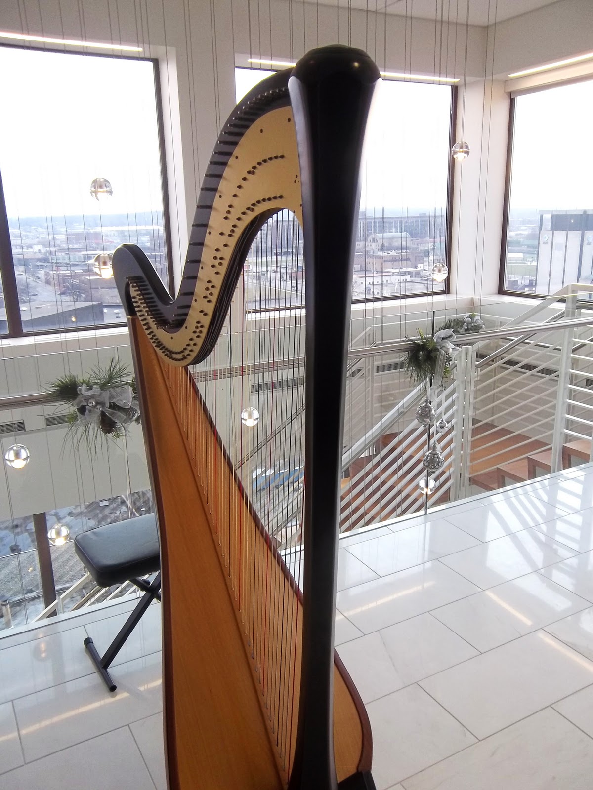 The Classic Harpist South Bend Harp Player Open House Music