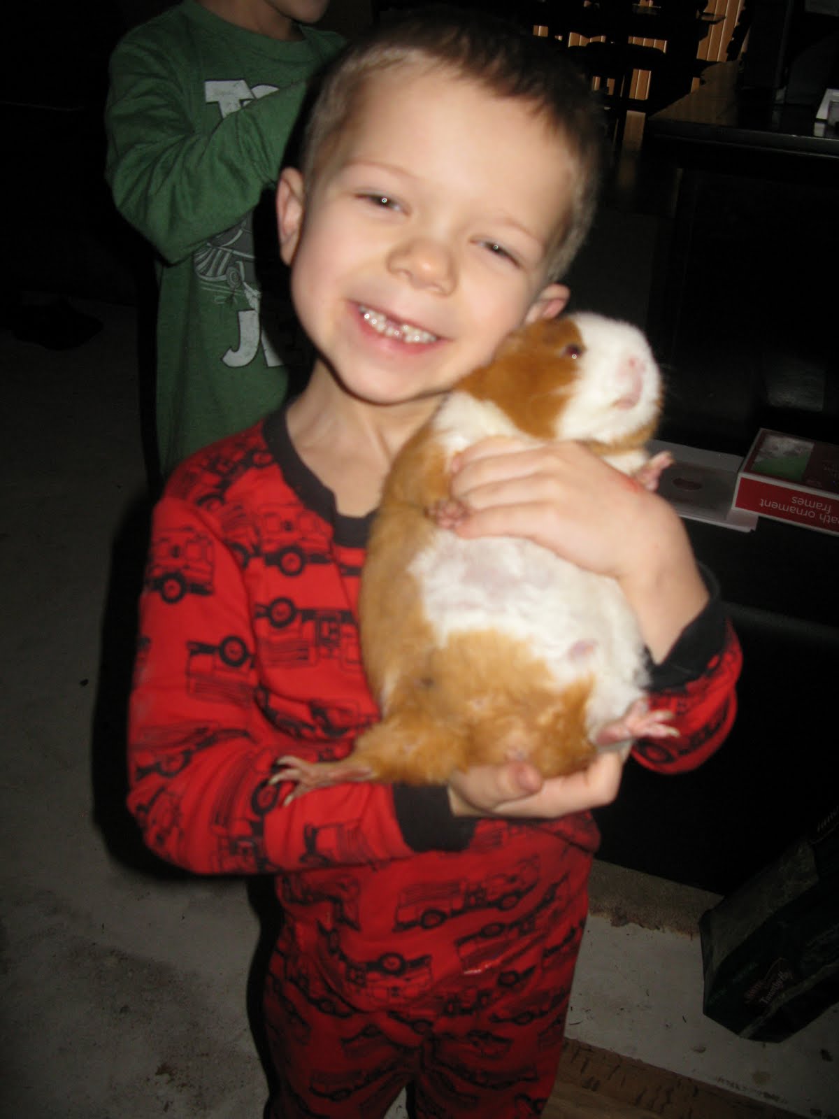 Mcarthur Mile How fat can a guinea pig get????