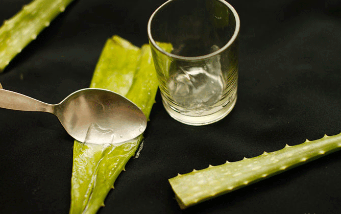 Aloe Vera Juice for Leaky Gut Syndrome ~ Healing Your Leaky Gut Today