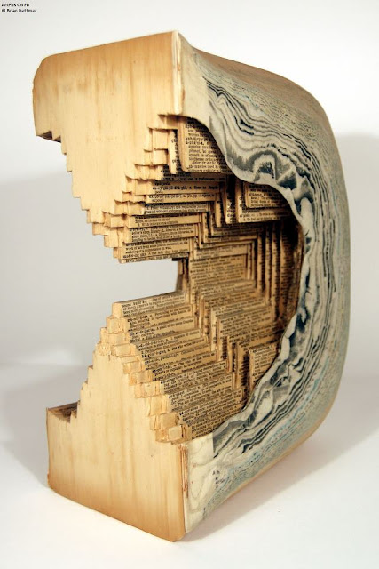 Brian Dettmer Artpics : Books Sculpture