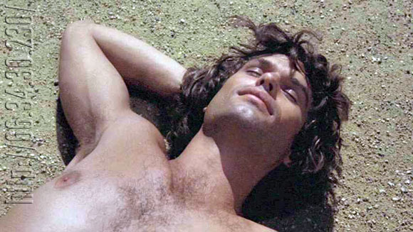 big shemale ass harry hamlin gay