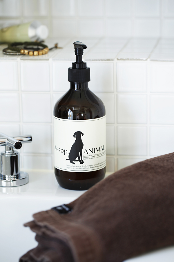 ETT NYTT SCHAMPO Halloj