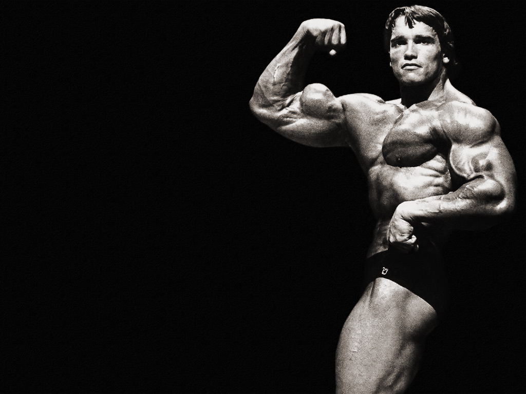 http://4.bp.blogspot.com/-xRaW9OygLN0/T4Z06XJiFqI/AAAAAAAABz4/7R9UxAU_Ngg/s1600/Arnold-Schwarzenegger.jpg