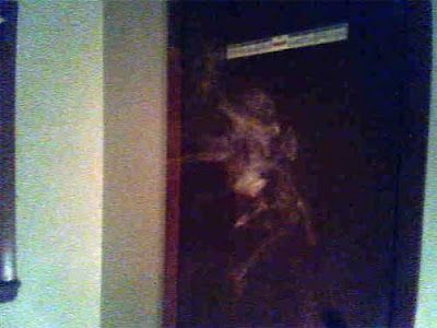 Real Ghost Photo: Ghost on the Mirror and the Door
